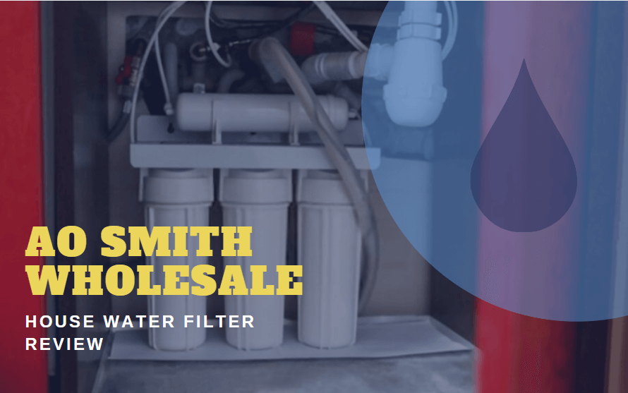 AO Smith Wholesale House Water Filter Review