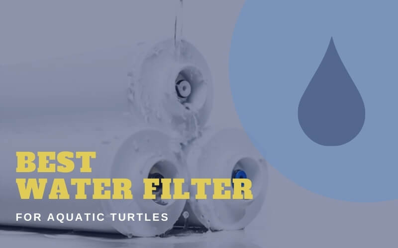 Water Filter For Aquatic Turtles