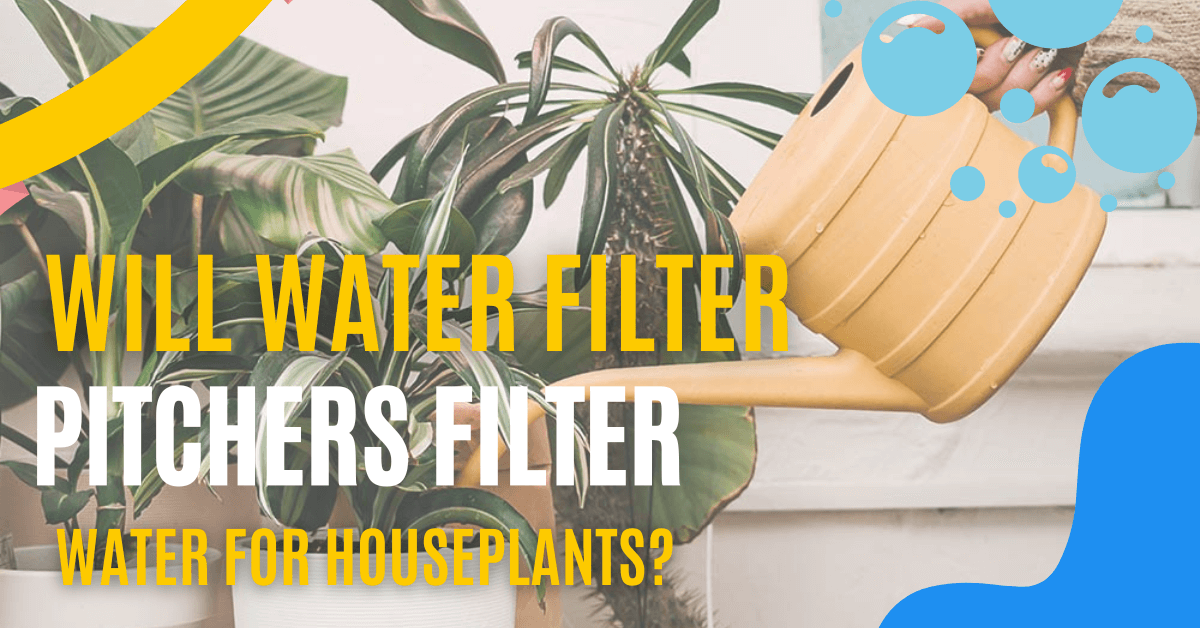 water Filter Pitchers Filter Water For Houseplants