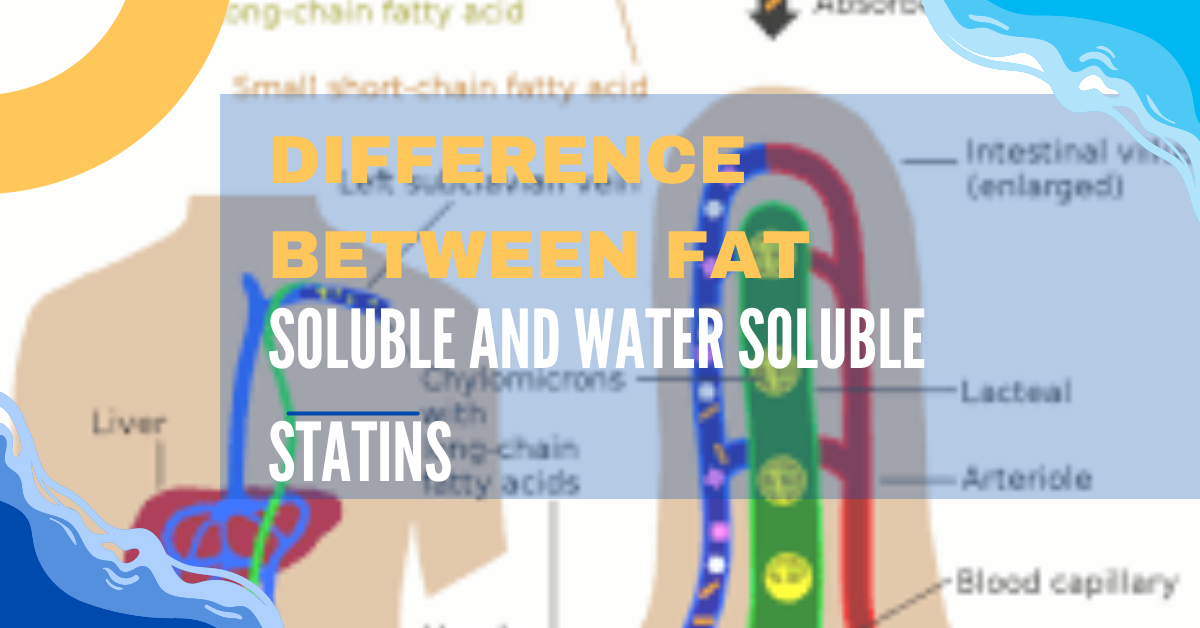 Difference Between Fat Soluble And Water Soluble Statins?