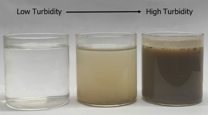 Amount of Turbidity in the water