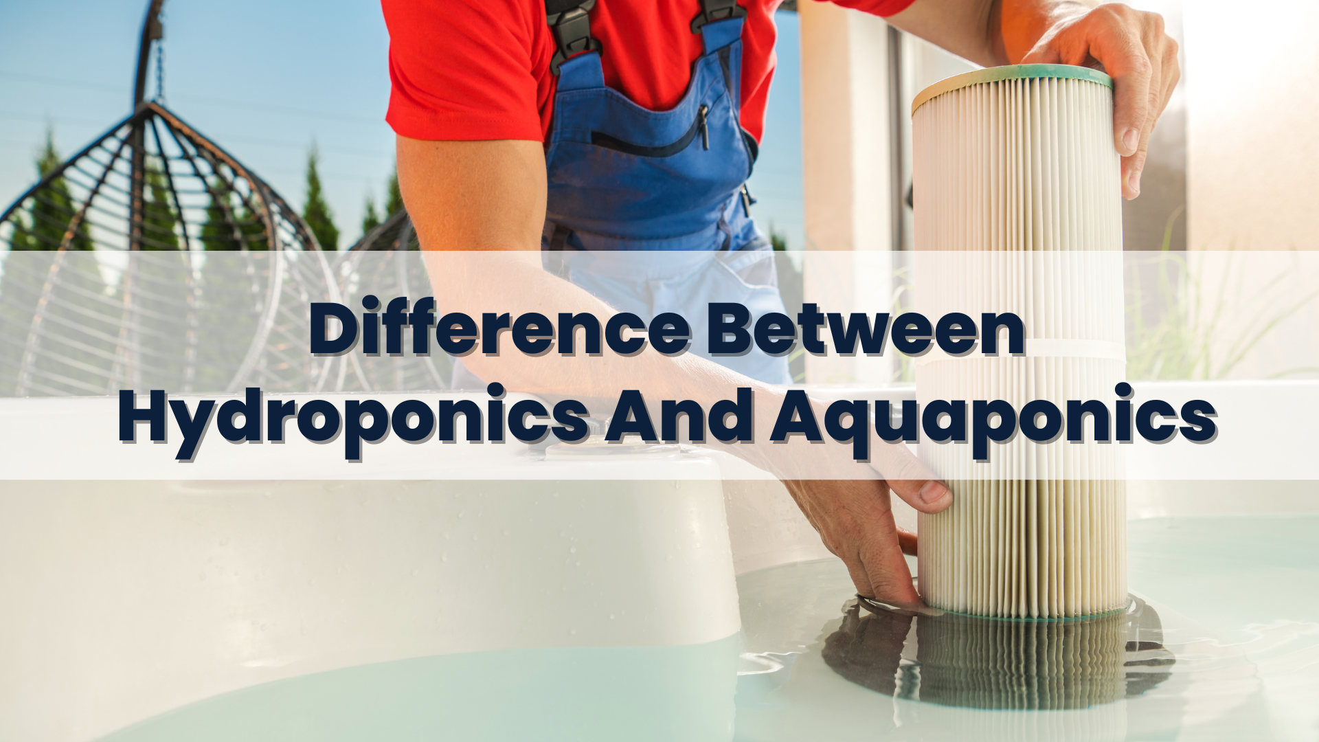 Difference Between Hydroponics And Aquaponics