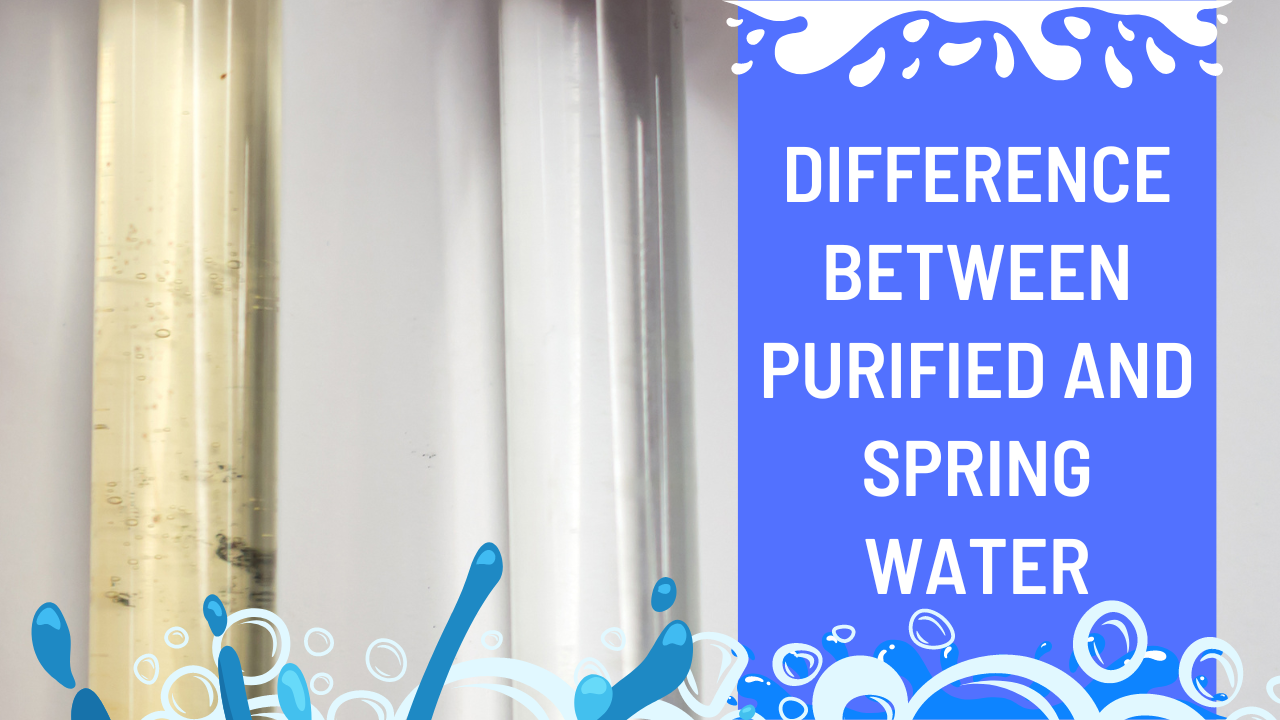 Difference Between Purified And Spring Water
