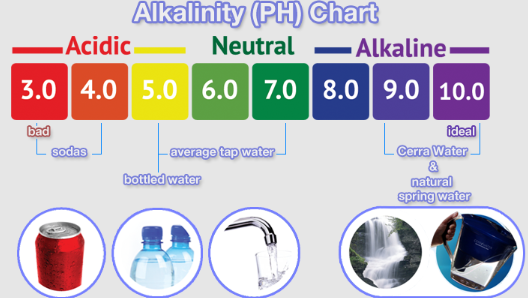 Factors that determine alkalinity in water