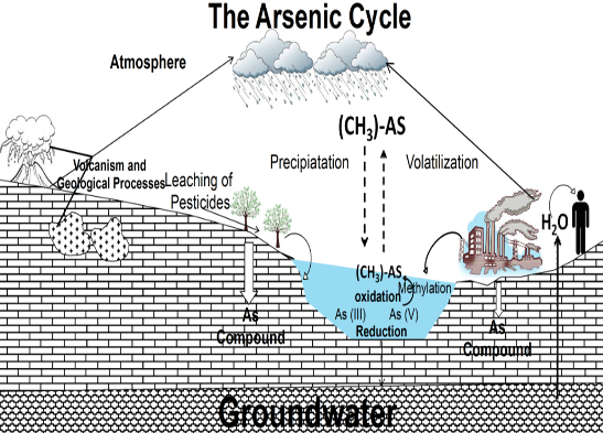 How does arsenic get into your water