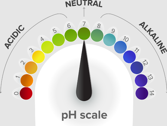 What Is The Best pH Range For Houseplants?