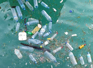 Sources plastic particles in our water