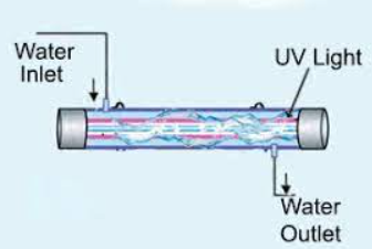 Ultraviolet purification systems
