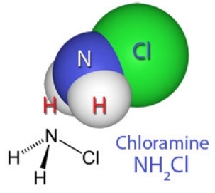 What are the advantages of chloramines in water.