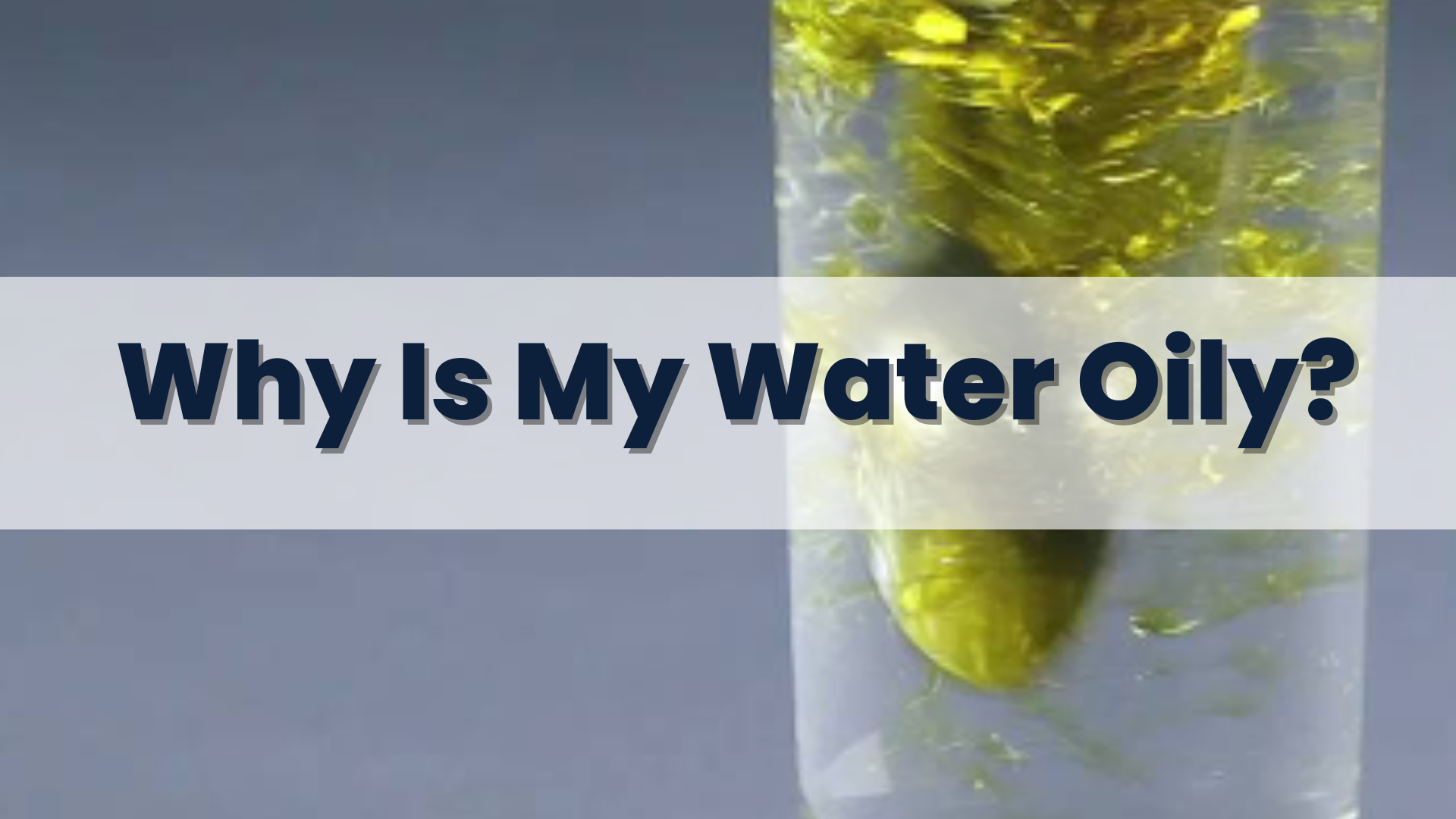 Why Is My Water Oily