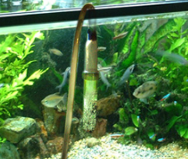 Why partial water changes are necessary